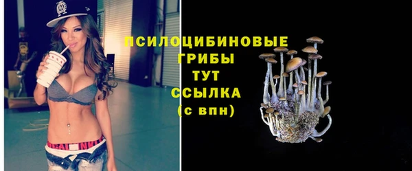 spice Балахна